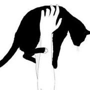 有声-黑猫