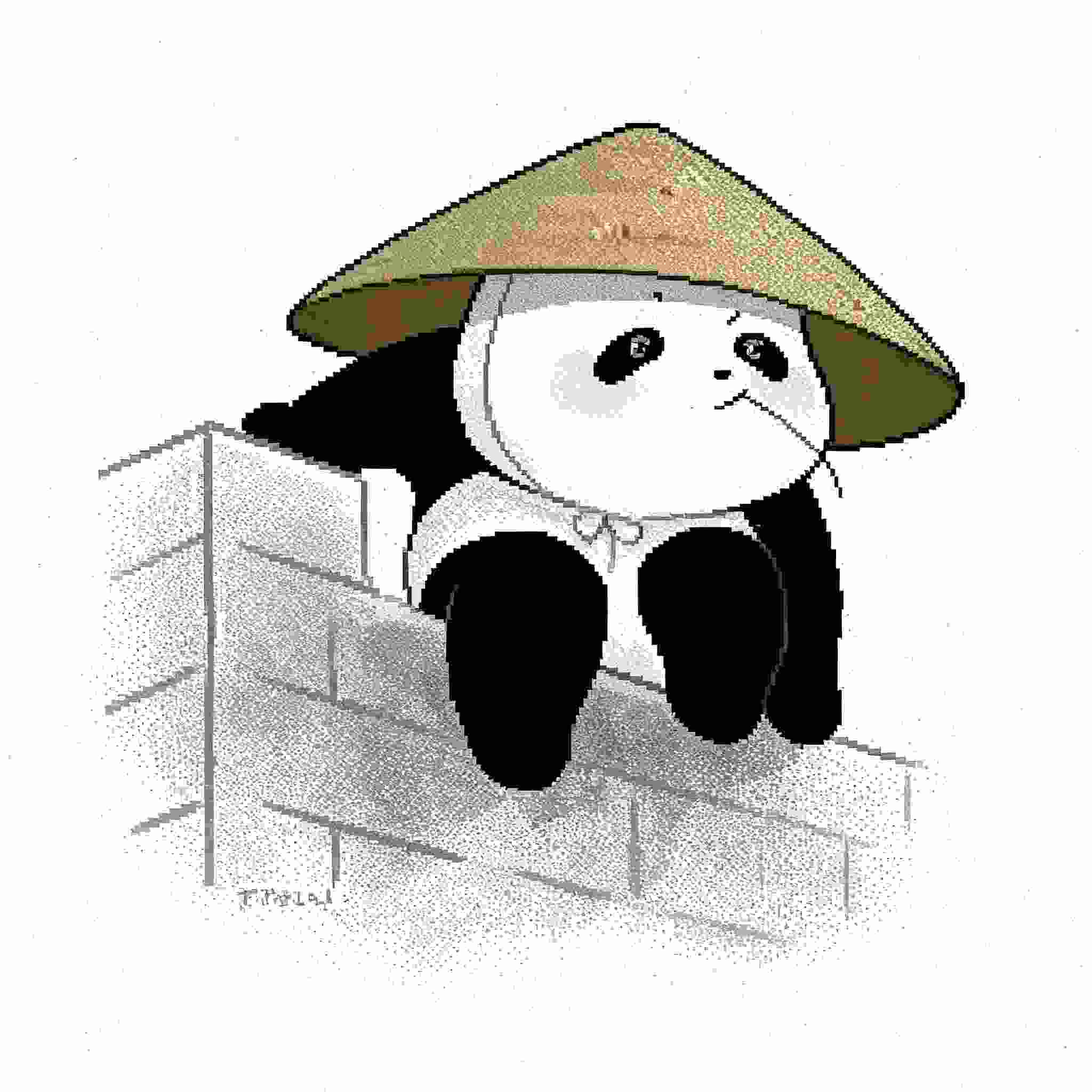 熊猫不是憨憨