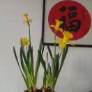 朱珍珍