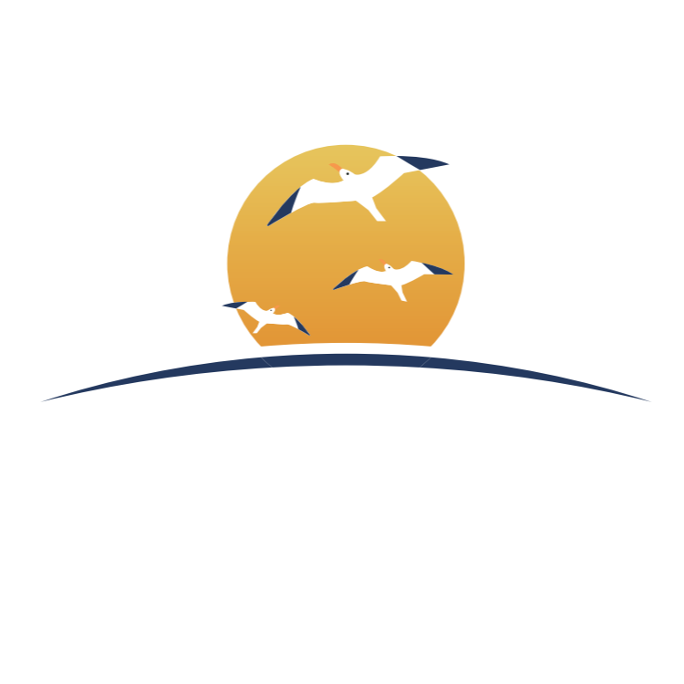 正映动画