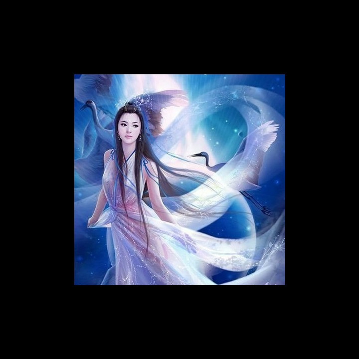 君如明月心
