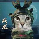 威龙🐉