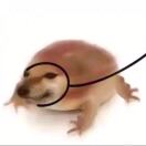 初一十六班？？？！！！