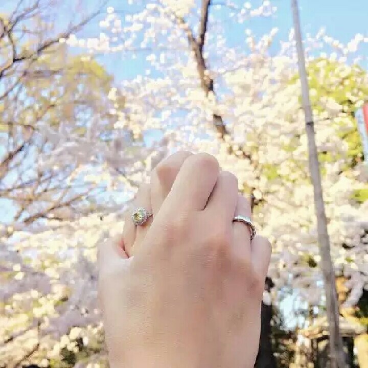 莳年玖夏