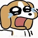 懒人1123719469