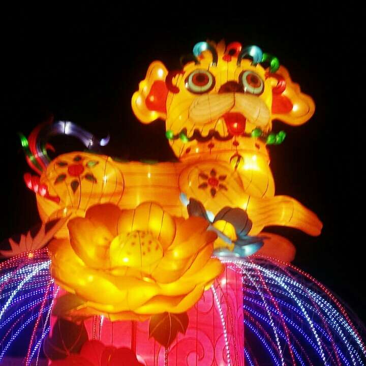 这颗心需要你