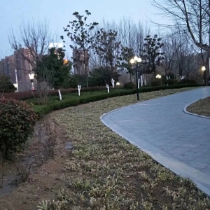 狂风一阵