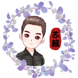 苏醒v