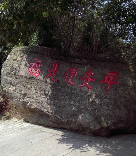 开心每一天3526