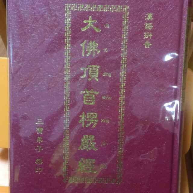 双羽四足30