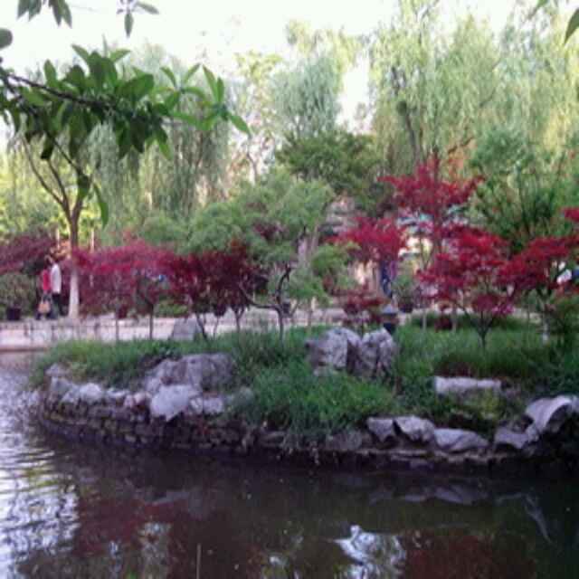 小丫头90
