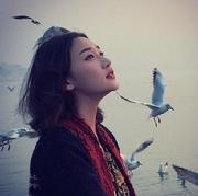 七锦菇凉