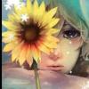 冷夏rainbow