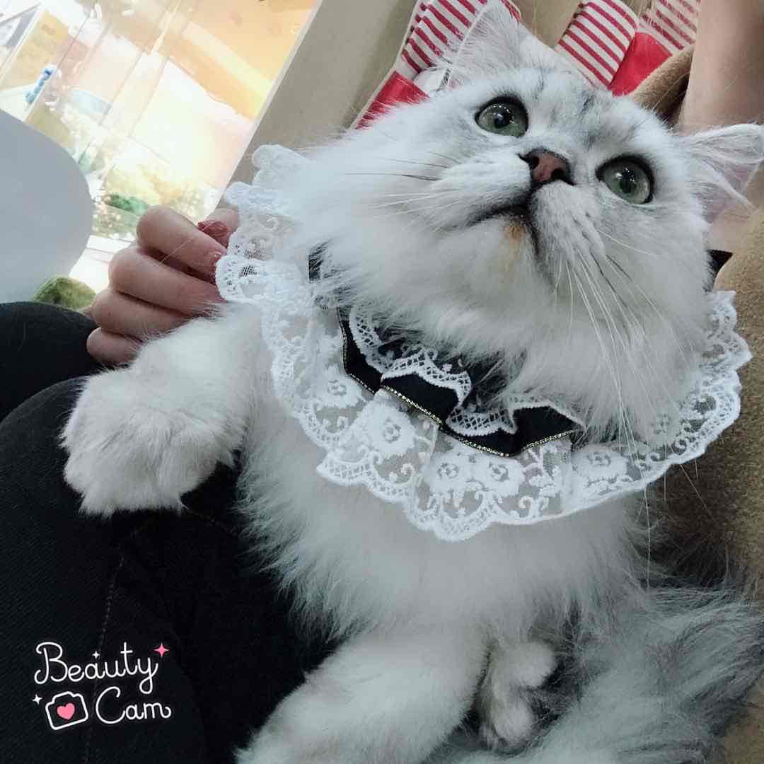 王业秋