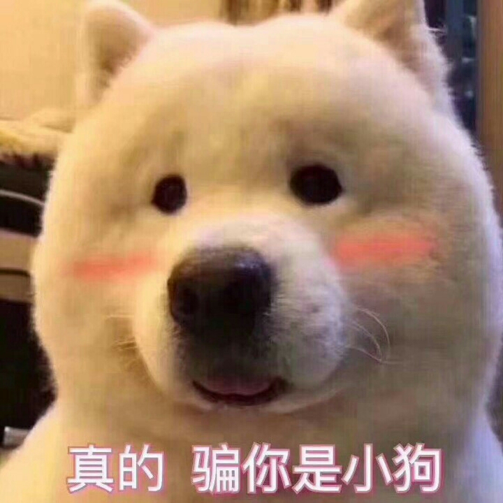 懒人609318615