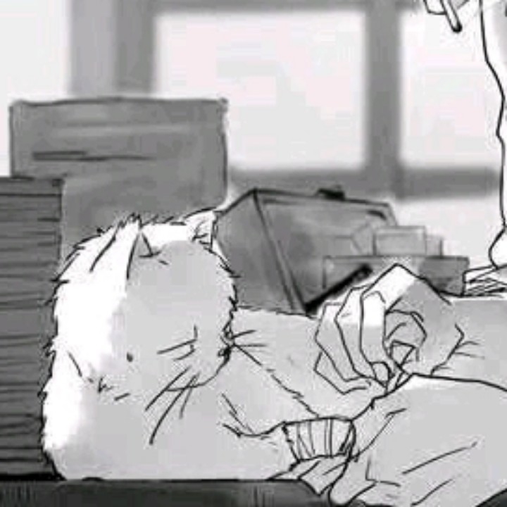 心理师韩一
