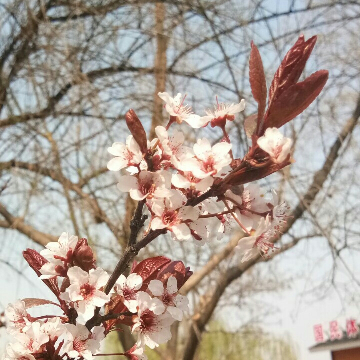 懒人254998848