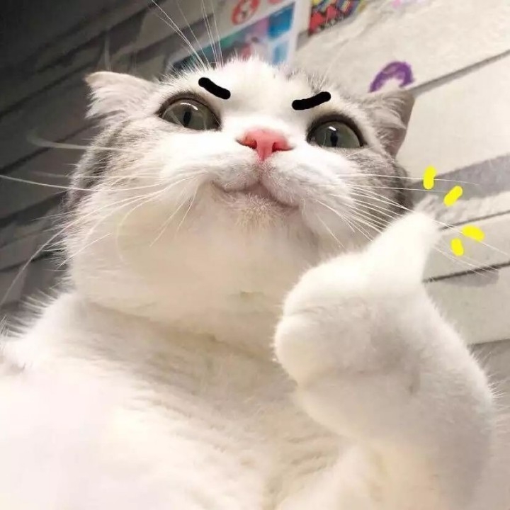 恶趣味in