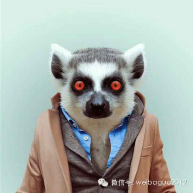 隋承峻