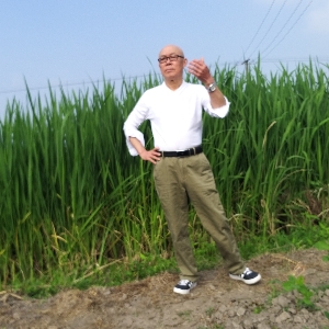 湖水清清