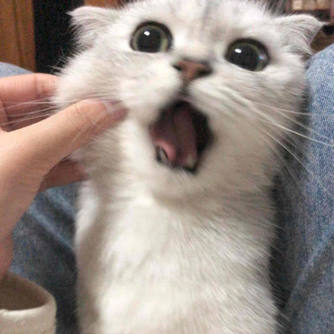 顾予