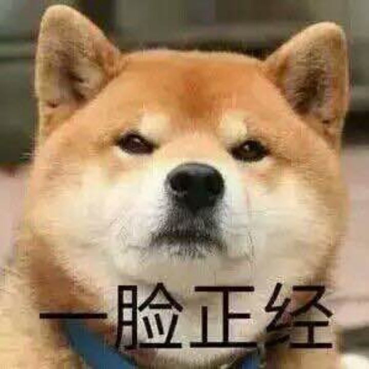 荒漠之北
