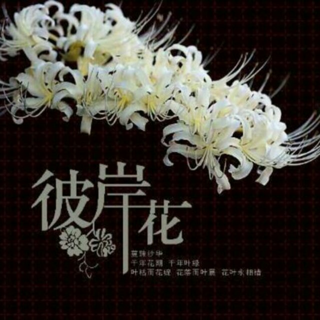 依如水