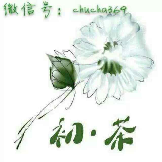 初·茶