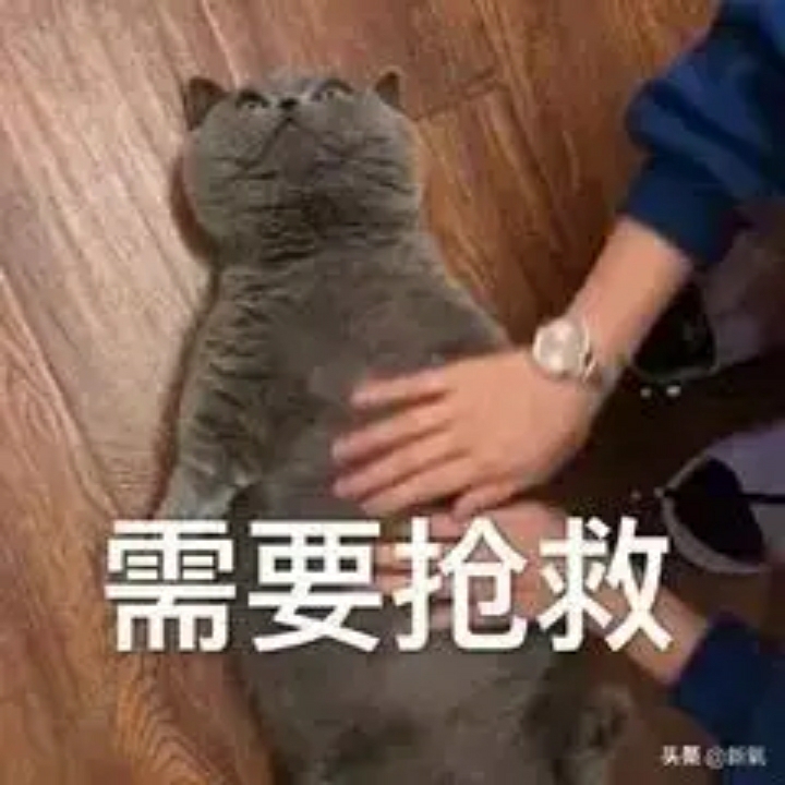 懒人183946512