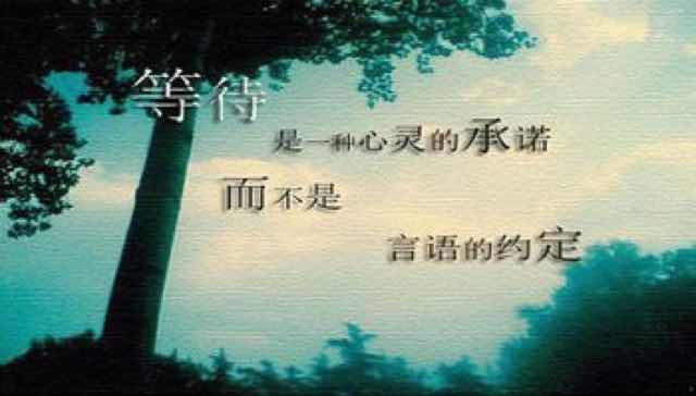 黄鑫86