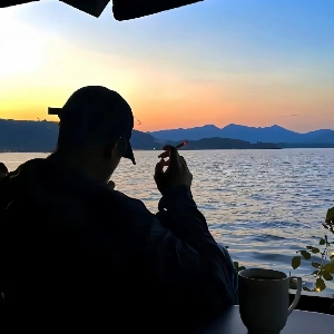 热爱海鸽