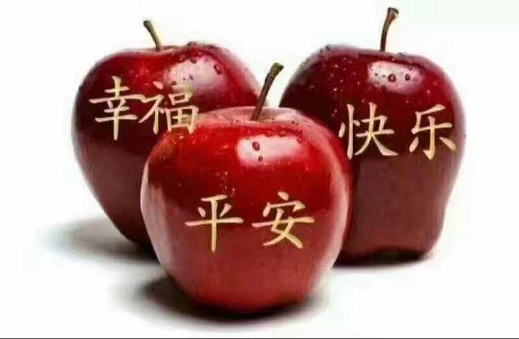 陈建平28