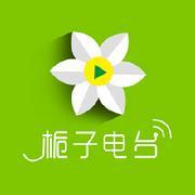 栀子电波