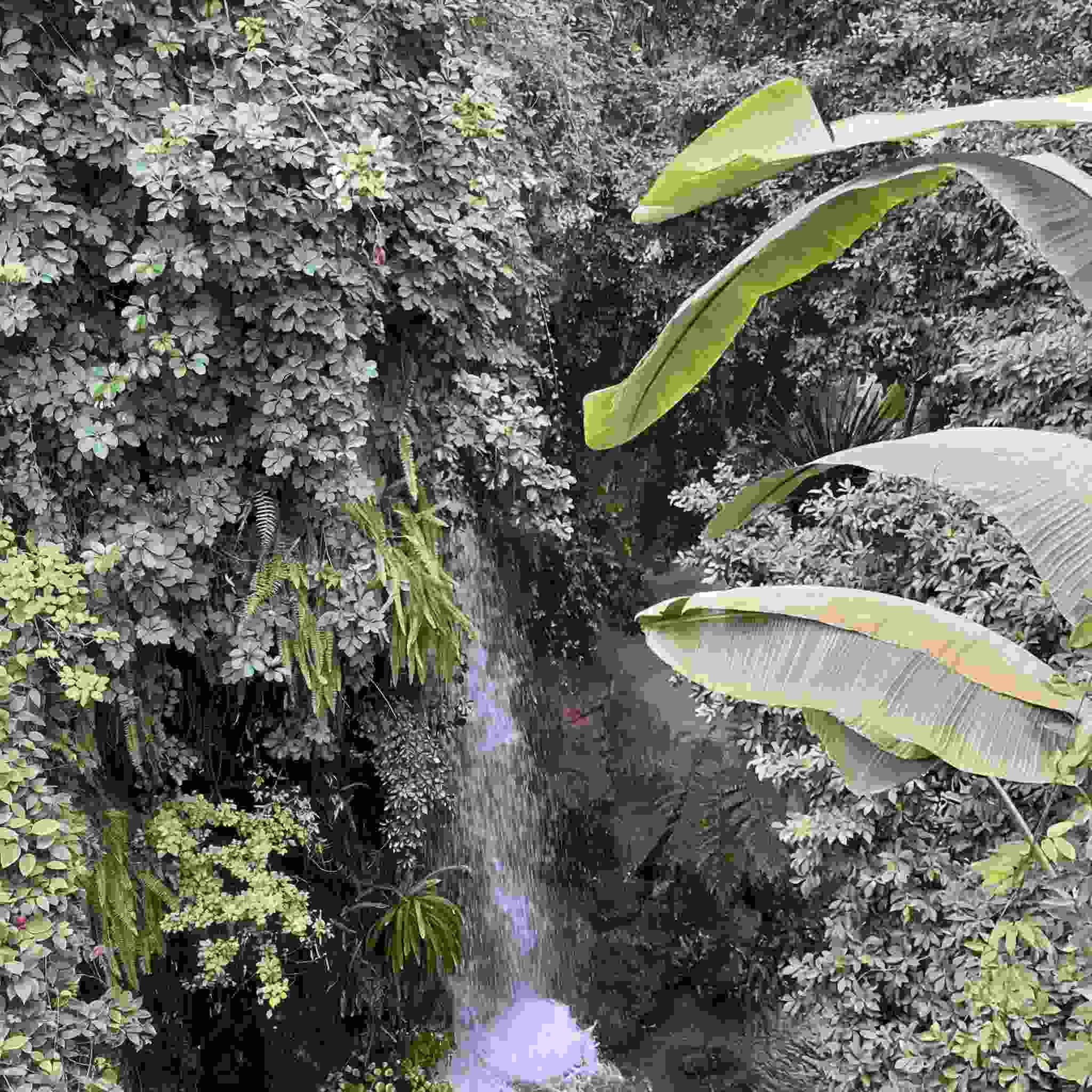 文彬寒