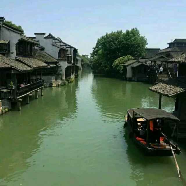 伯乐4596