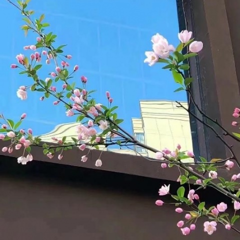 霖