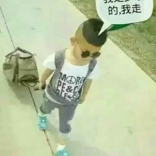 追求1311