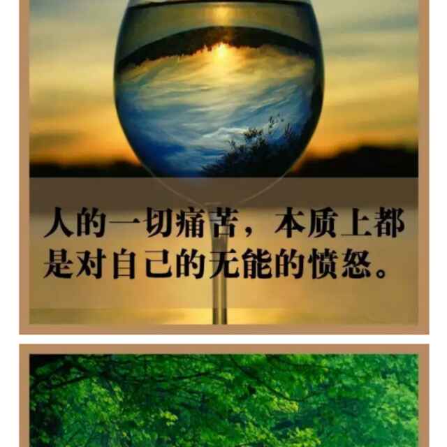 离愁65