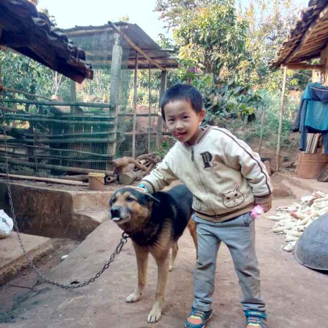 对折时光