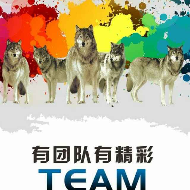 *梦驼铃*