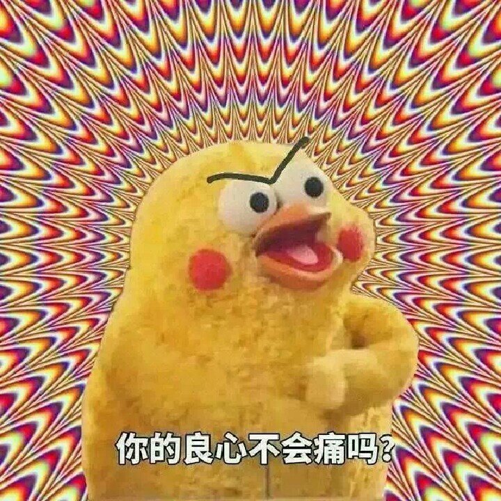 2495361315