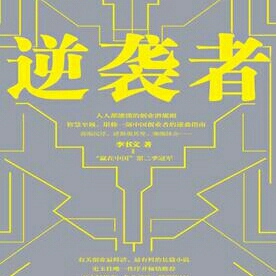 林丹11