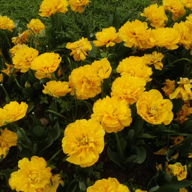 芸儿5596