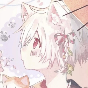 狐狸老大