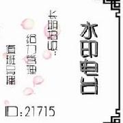 水印电波