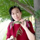 王业芬