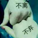 淡如&岁月