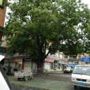LR225369695