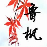 鲁枫