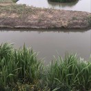 LR235537355